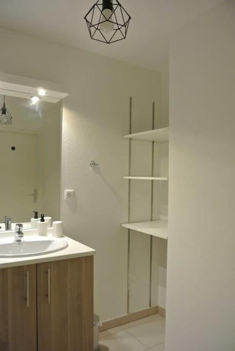 Spacieux T3 Balcon Parking Prive Тулуза Екстер'єр фото